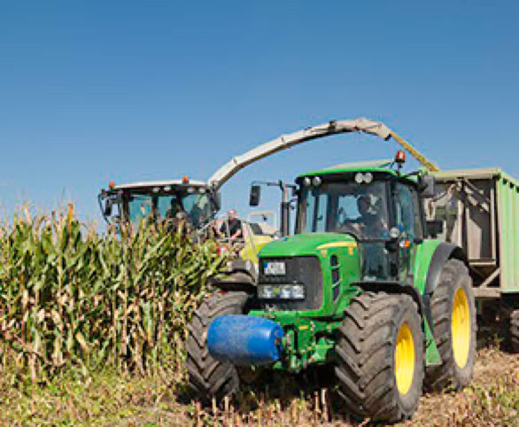 Zwei Traktoren arbeiten auf einem Feld, einer erntet Mais, w&auml;hrend der andere einen Anh&auml;nger zieht.