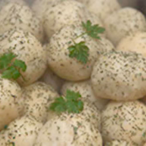 Mehrere gekochte Kartoffelkl&ouml;&szlig;e mit Kr&auml;utern bestreut und mit Petersilie garniert.